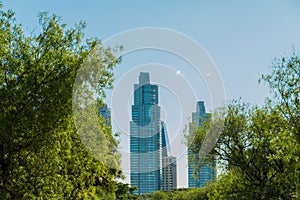 Puerto Madero buildings framed by nature, green trees