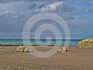 Puerto Madryn, Argentina