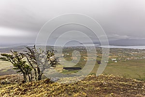 Puerto Natales, Chile, Magallanes Region photo