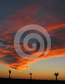 Puerto Penasco Sunset #2 photo