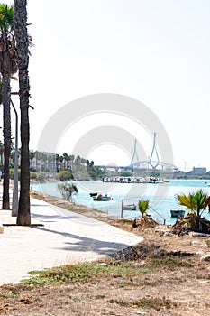 Puerto Real, in the background the Constitution Bridge, called La Pepa. Cadiz. Andalusia, Spain.