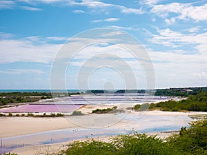 In Puerto Rico`s southwest corner, Cabo Rojo, tons of salt are extracted from seawater annually photo