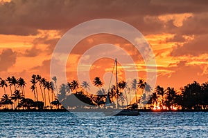 Puerto Rico sailing sunset photo