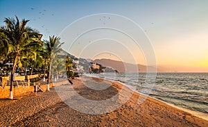 Puerto Vallarta sunset and palms - Puerto Vallarta, Jalisco, Mexico