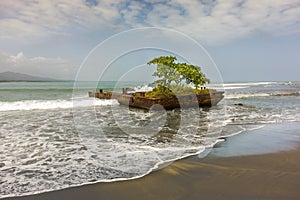 Puerto Viejo De Talamanca Caribbean Sea Beach Detail Costa Rica photo