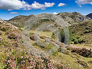 Puertos de Marabio Natural Monument, Teverga and Yernes y Tameza municipalities, Asturias, Spain, Europe photo