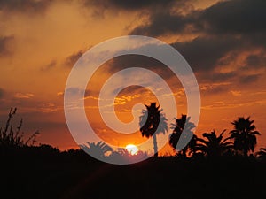 Puesta de sol en Torrevieja/Sunset in Torrevieja