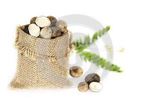 Puff ball mushrooms isolated over white background