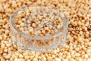 Puffed quinoa seeds Chenopodium quinoa