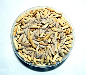 Puffed rice over white background with shadow