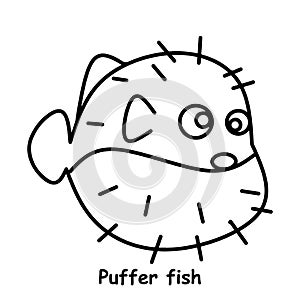Puffer fish line illustration animal vector
