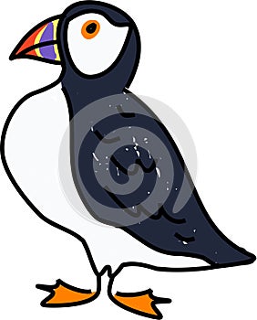 Puffin