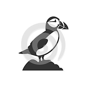 Puffin bird icon