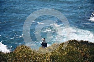 Puffin on the rocks at latrabjarg, the westernmost point in Iceland, on a sunny day. Blue, wavy ocean in the background.