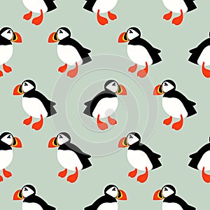 Puffin seabird seamless vector pattern.