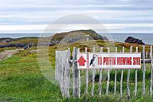 Puffin site sign near cliffs in Newfoundland
