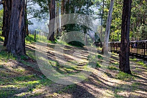 Puffing Billy steam train