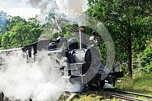 Puffing Billy steam train in the Dandenong Ranges photo