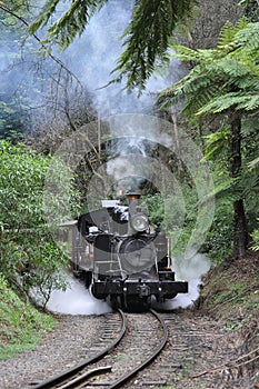 Puffing Billy Train photo