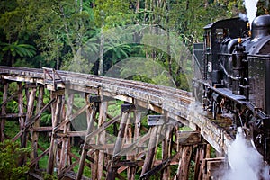 Puffing Billy Train