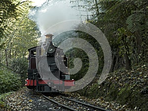 Puffing Billy train ride through the Dandenong Ranges near Melbourne, Australia photo