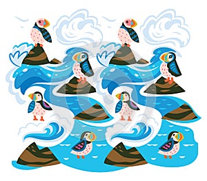 Puffins on the rocks vector print