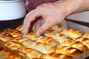 Puffs with curd on a baking tray