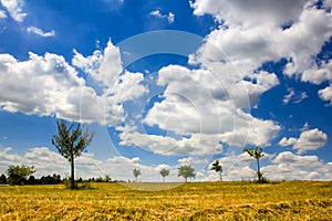 Puffy clouds and blue sky