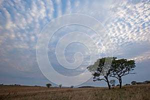 Puffy cotton clouds over Ezemvelo