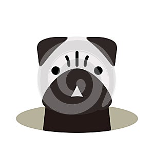 Pug come out of the hole, watching vector illustration