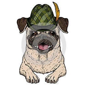 Pug. Cute animal portrait. Austrian bavarian tirol hat. Beer festival. Oktoberfest. Dog head.