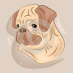 Pug dog animal cute face. Vector funny happy doggy head portrait.