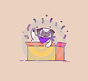 Pug dog appears from a box. Flat vector illustration