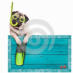 Pug dog with blue vintage wooden beach sign, with goggles, snorkel and flippers for summer, isolated on white background