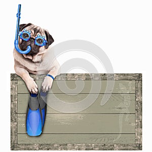 Pug dog with blue vintage wooden beach sign, with goggles, snorkel and flippers for summer, isolated on white background