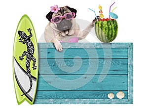 Pug dog with blue vintage wooden beach sign, surfboard and summer watermelon cocktail, isolated on white background