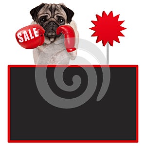 Pug dog boxer with red boxing gloves with sale sign and blank blackboard