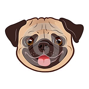 Pug dog cartoon illustration. Cute friendly fat chubby fawn pug