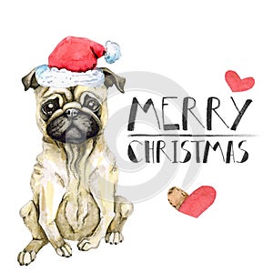 Pug dog celebrates new year in santa claus hat. Christmas puppy. Isolated on white background. watercolor greeting card