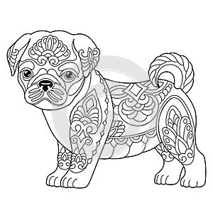 Pug dog coloring page