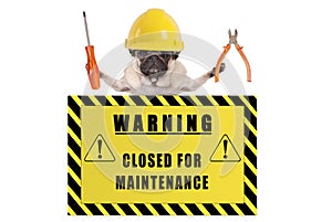 Pug dog with constructor safety helmet holding pliers and screwdriver with yellow warning sign saying closed for maintenance