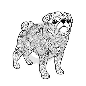 Pug dog doodle