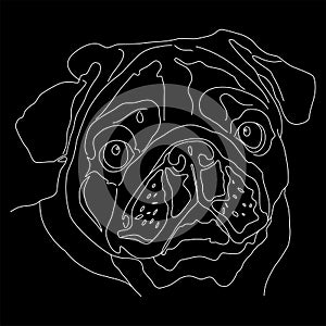 Pug dog vector