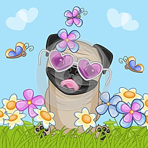 Pug Dog with flowers