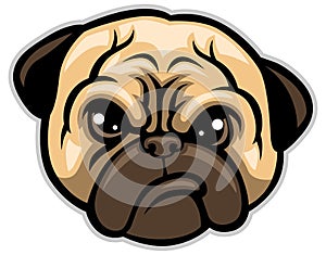 Pug dog head