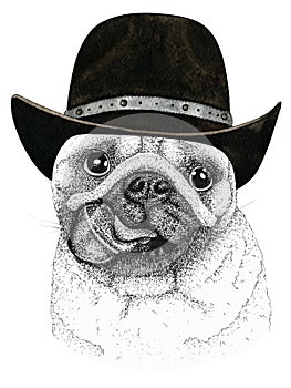 Pug dog head hand drawn illustration. Wild animal wearing cowboy hat Wild west