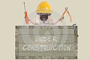 Pug dog holding pliers and screwdriver behind old wooden sign with text under construction, on white background