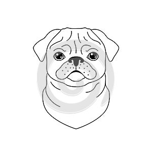 Pug dog icon in line art style