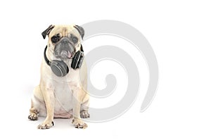 Pug dog listening to music with bluetooth earphone on white background photo