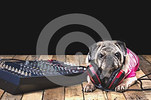 Pug dog with recording equipment